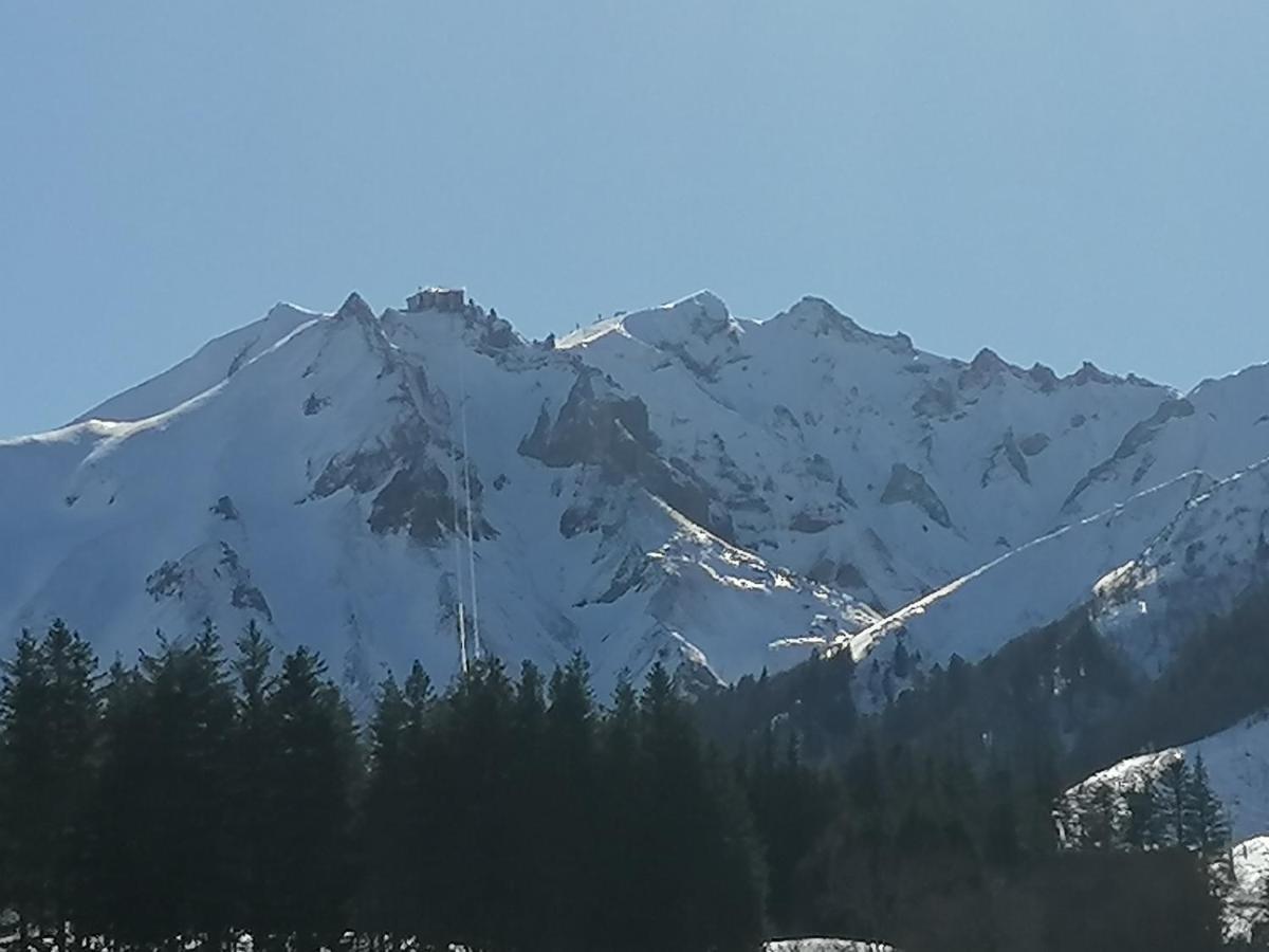 Tulipe, Appartement 5 Personnes, Entre Sancy Et Volcans D'Auvergne Orcival Exterior foto